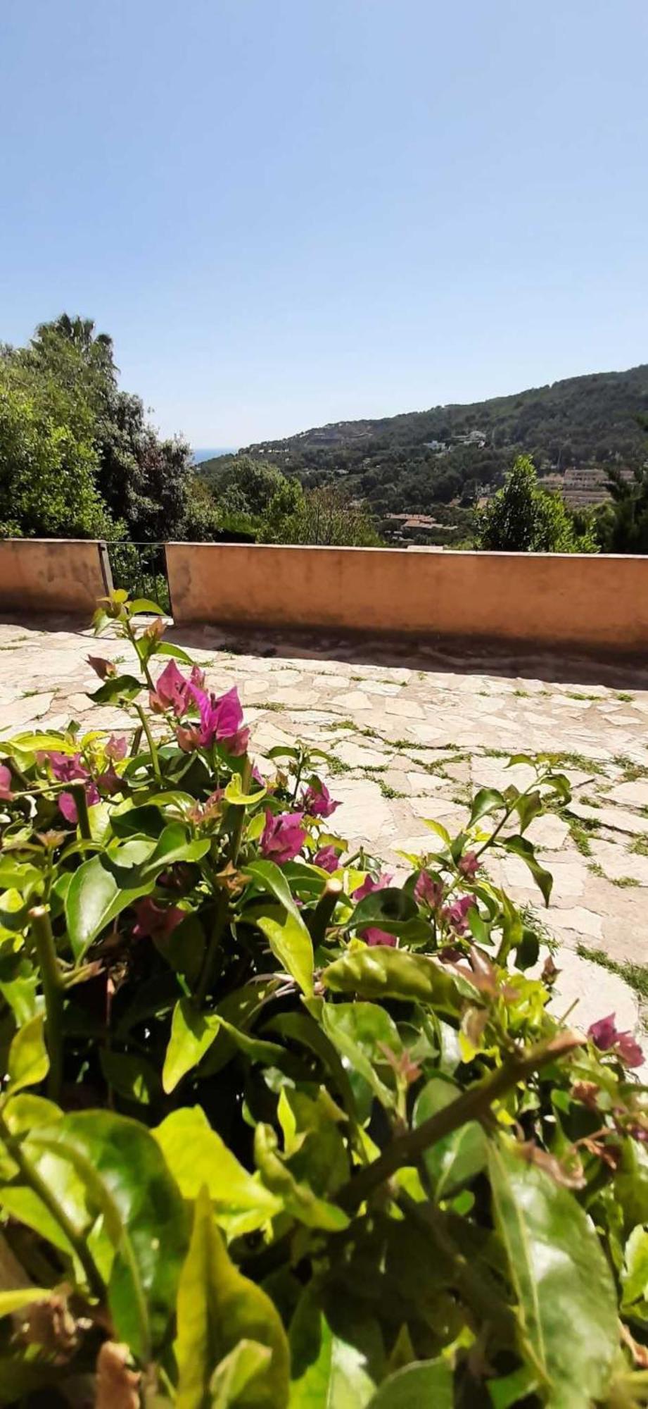 בגור Corti Mori Sa Riera Vistas Mediterraneas מראה חיצוני תמונה